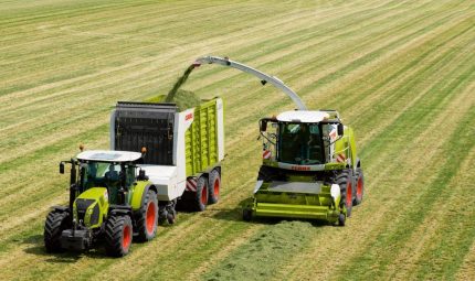 Best grass seed for cutting and grazing on the recommended list