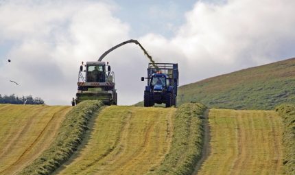 Silage - Improve Feed Value