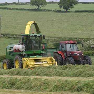 Home Grown Forages and Silage Additives