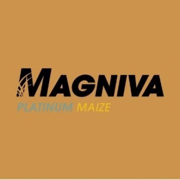 Magniva Platinum Maize