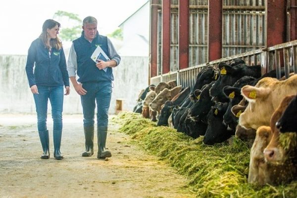 Specialist nutrition expert Ireland Dairy and Beef nutrition