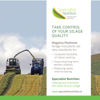 Silage magniva plat Instagram