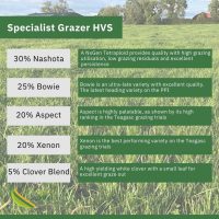 Specialist Grazer HVS Grass Mixture