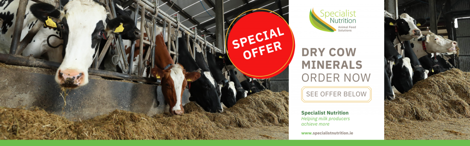 Dry Cow Management And Precalver Minerals - Specialist Nutrition IE