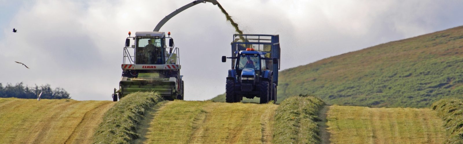 Take control of your forage quality!