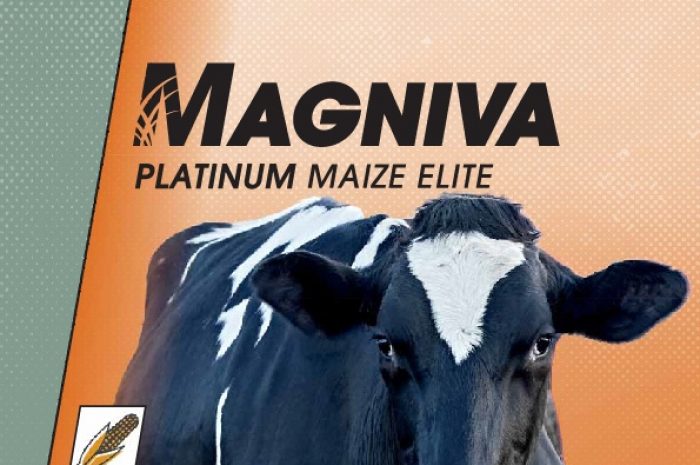 Magniva Platinum Maize Elite