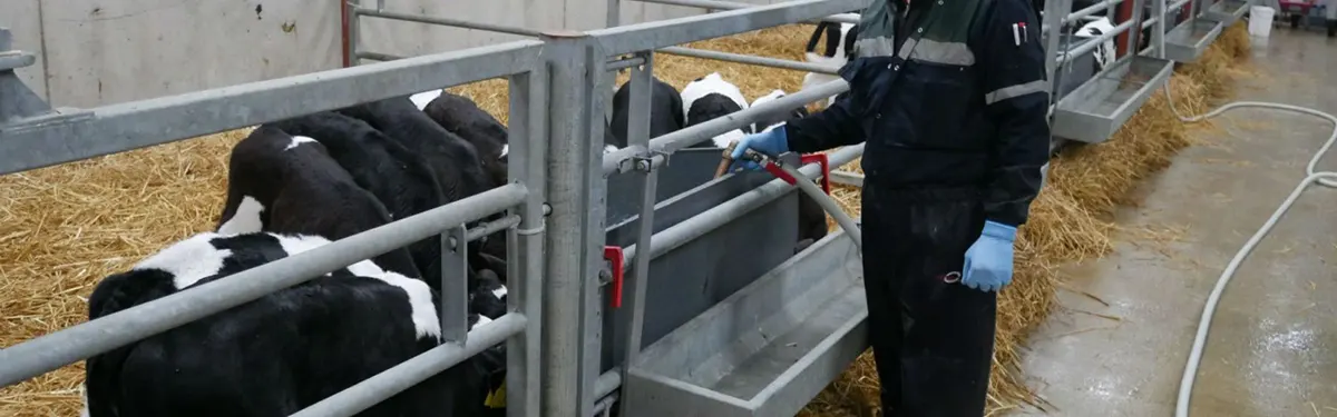 Early Lactation Management