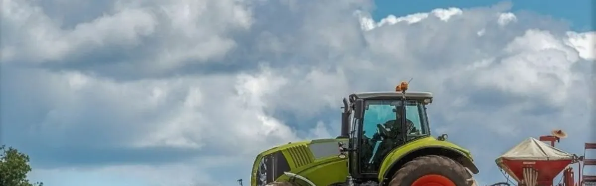 grass Reseeding