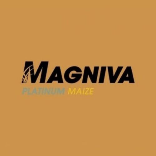 Magniva Platinum Maize