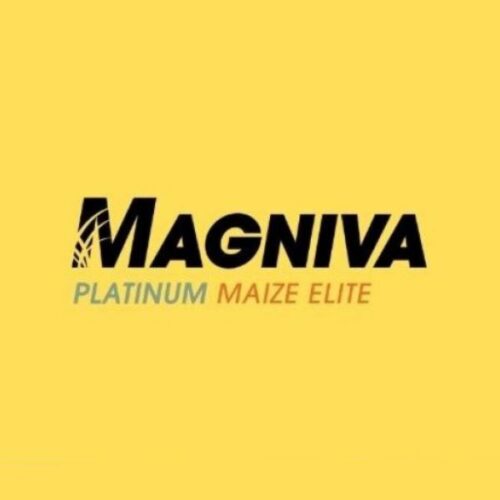 Magniva Platinum Maize Elite