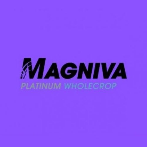 Magniva Platinum Wholecrop