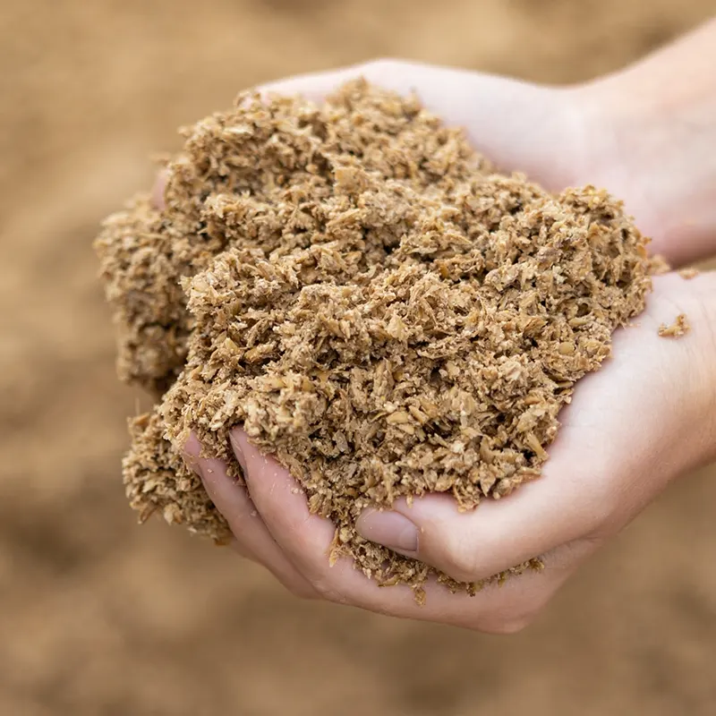  Moist & Liquid animal Feed