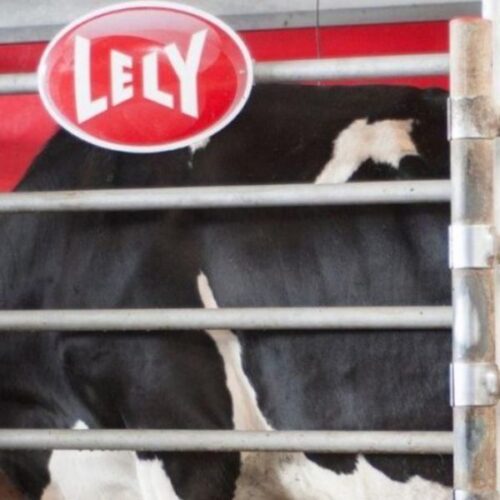 sn triple booster pack