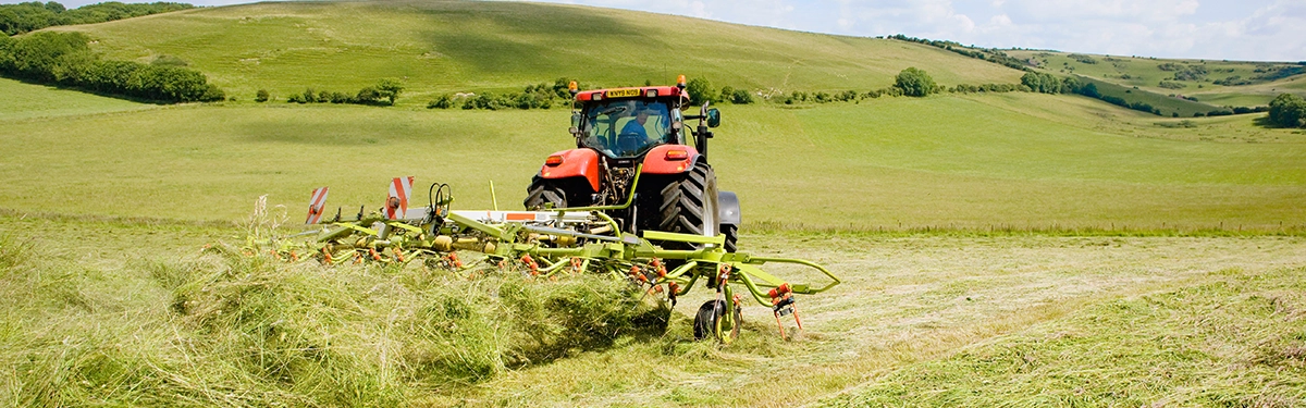 Maximise Maize Silage Quality