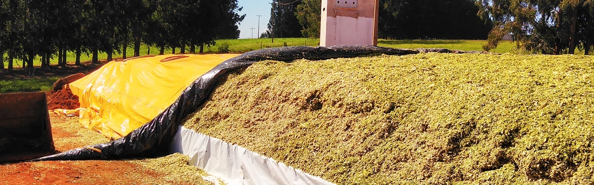 High-quality silage protected by Silostop Max