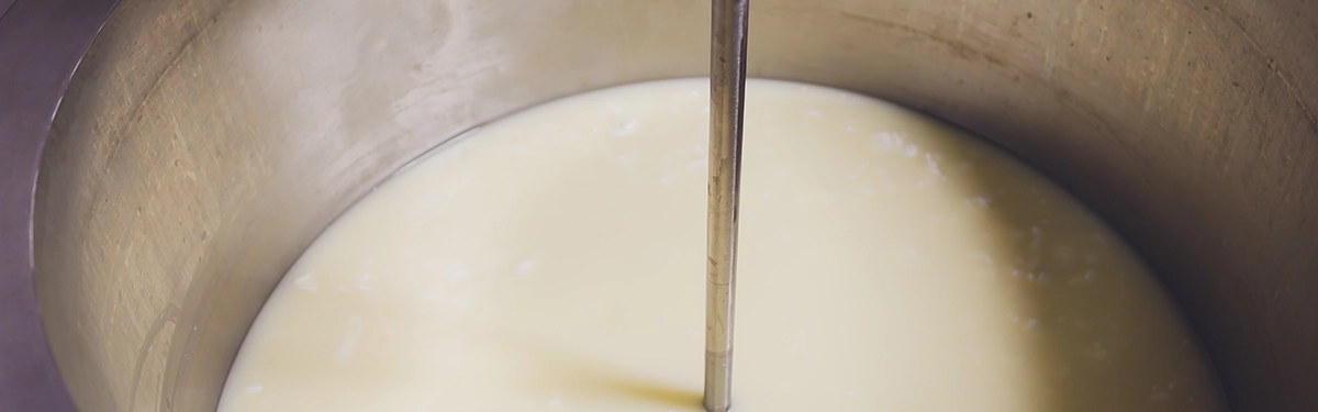 Farmer mixing calf milk replacer correctly using proper temperature and mixing technique
