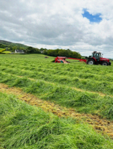 GRASS TRAITS FOR GRAZING