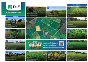 increase silage quality and improve animal performance